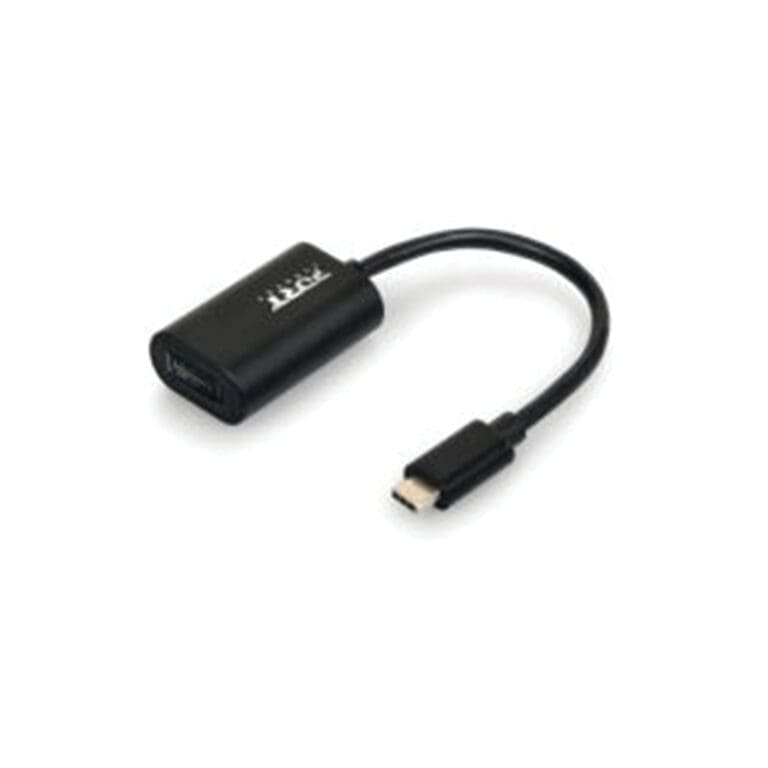 Port USB-C to DisplayPort Adapter